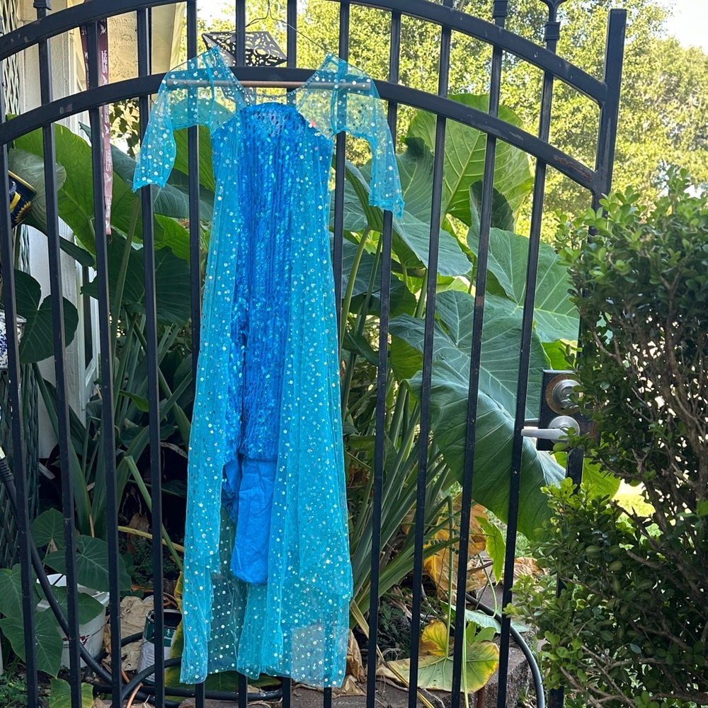 Blue Sheer Starry Dress